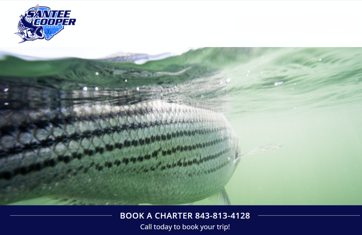 Santee Cooper Charters
