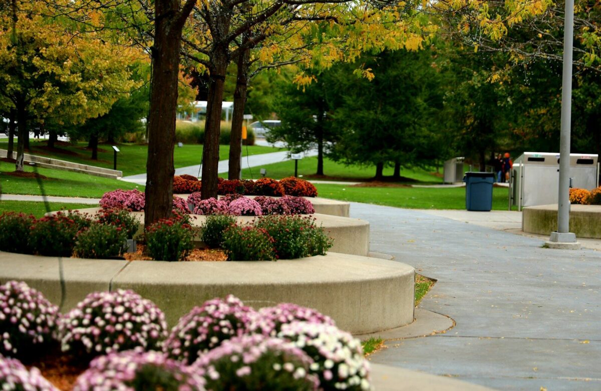 Why Smart Commercial Landscaping in Summerville, SC is a Business Imperative